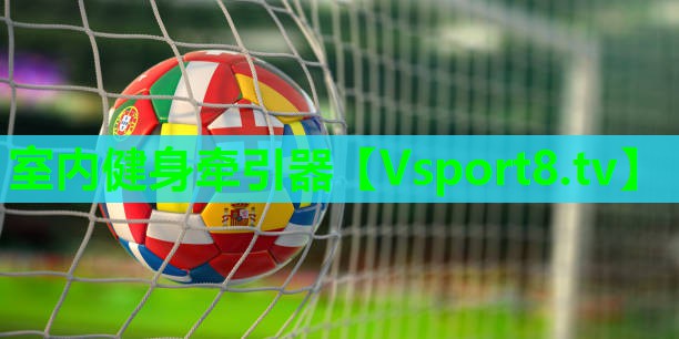 室内健身牵引器 室内健身牵引器