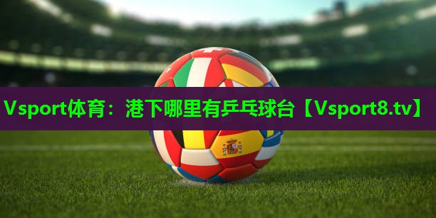 港下哪里有乒乓球台 港下哪里有乒乓球台