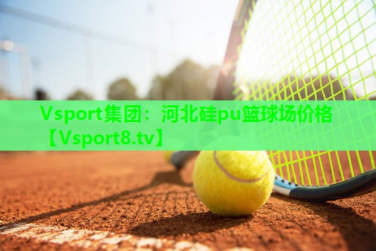 河北硅pu篮球场价格 河北硅pu篮球场价格