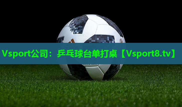 乒乓球台单打桌 乒乓球台单打桌